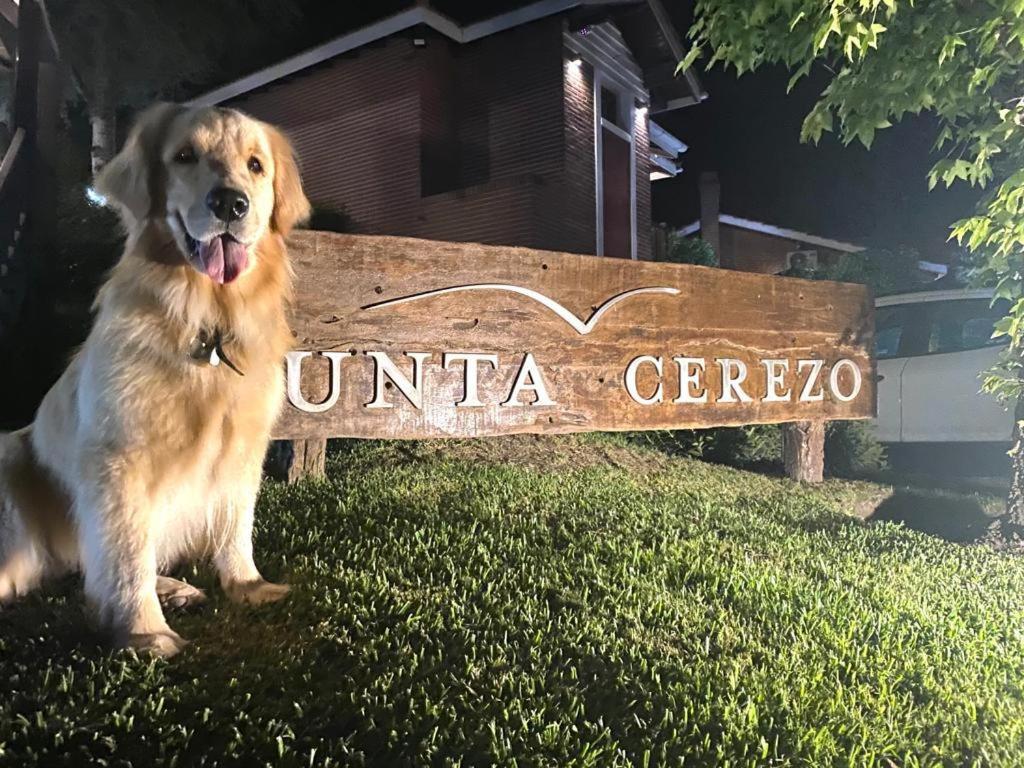 Punta Cerezo Apart Каріло Екстер'єр фото
